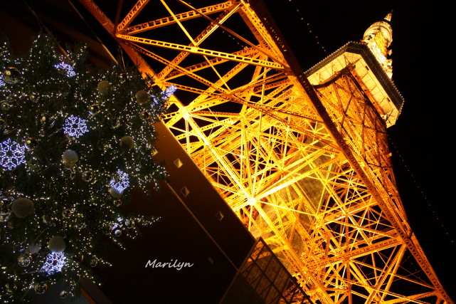 Tokyo Tower2_1.jpg